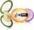 Avocado Saver 4-Pack: Fresh-Lock Containers for Tomatoes, Onions & Lemons | Reusable Fridge Storage | Ideal for Garlic, Potatoes & Produce Preservation