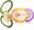 4-Piece Airtight Food Storage Containers Set – Avocado Saver, Onion Keeper, Silicone Kitchen Organizers for Fridge, Reusable & Leak-Proof to Lock in Freshness