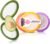 Onion Storage and Avocado Saver – 4-Piece Set Silicone Fruit Storage Box, Multifunctional and Perfect for Lemons, Cheese, Tomatoes, Potatoes, Garlic