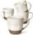 Artena Ceramic Coffee Mugs Set of 4, 16oz Embossed Large Latte Mugs Coffee Cups with Handle for Tea, Latte, Cappuccino & Cocoa, Milk Dishwasher & Microwave Safe, White (Multiple Patterns)